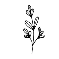 Fototapeta na wymiar vector illustration of a plant