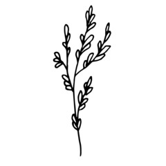 Fototapeta na wymiar vector illustration of a tree
