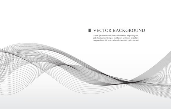 abstract vector white background black smooth line