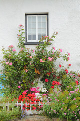 Fototapeta na wymiar Small front garden in village of Lynmouth, Devon 