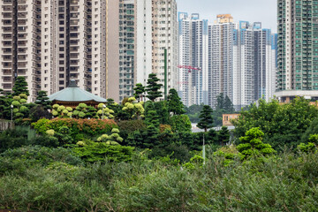 Fototapeta premium A park and woodland surrounded by residential areas in Hong Kong City, China