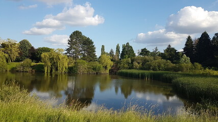 Lake and threes - France