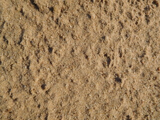 sand closeup, texture background for the beach, building materials 