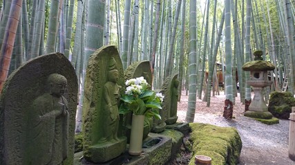 Hokokuji temple bamboo garden
