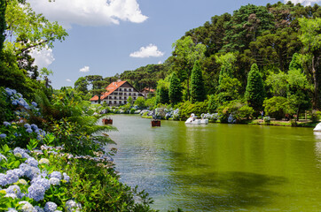 Fototapeta na wymiar the lake in the park - spring in the garden - Lago Negro - Hortências de Gramado - RS