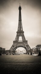 Vertical grayscale shot of the Eiffel Tower, Paris, France