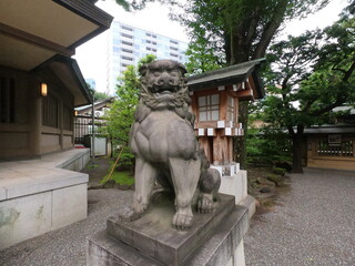 東郷神社の狛犬、東京
