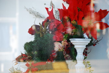 ショーウィンドウ