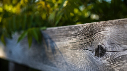 Wooden Fence close up on details with shallow depth of field trees
