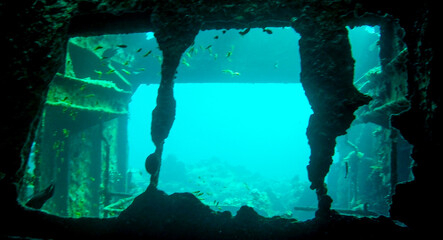 Vista através de janela de um naufrágio do Mar Vermelho. Mergulho no Egito 