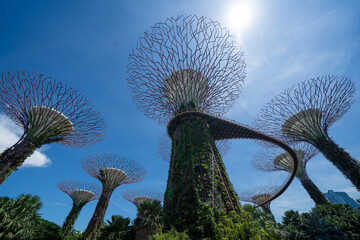Fototapeta na wymiar Árvores artificiais de Singapura. Garden by the bay Supertree Grove Marina Bay