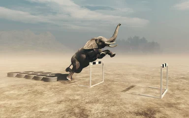 Wandaufkleber Training elehpant © allvision