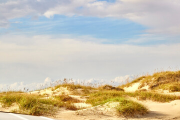 Sand dune on scenic beach in the Outer Banks of North Carolina on the Atlantic ocean