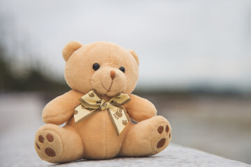 A lonely teddy bear is sitting on a white floor with nature and moody sky blurred background in rainy day