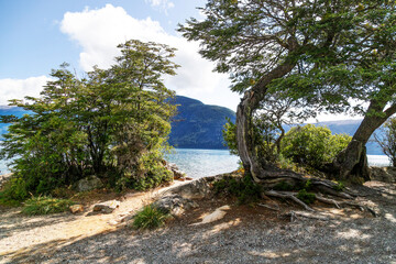 Fototapeta premium Lake in the Bariloche, island