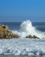 Wave explosion on the rocks with a seagull flying in the foreground in central California