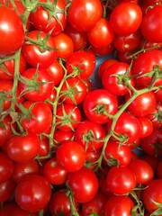 red cherry tomatoes