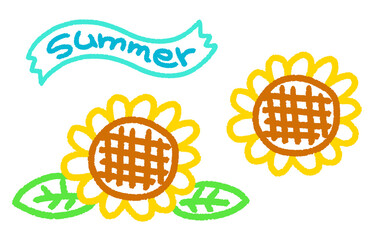 ひまわり　花　夏