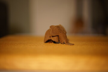 Miniature african elephant safari