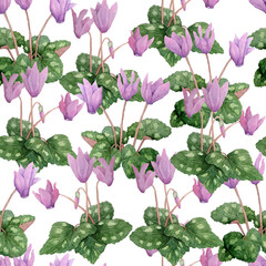 Watercolor hand drawn seamless pattern illustration of pink violet purple cyclamen wild flowers. Forest wood woodland nature plant, realistic design leaves petals. For wedding cards, invitation