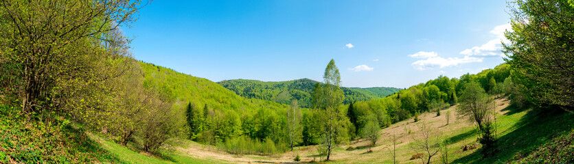 Beautiful rural summer landscape with forest, blue sky and white clouds, panorama. spring landscape with panoramic views of meadow and mountains