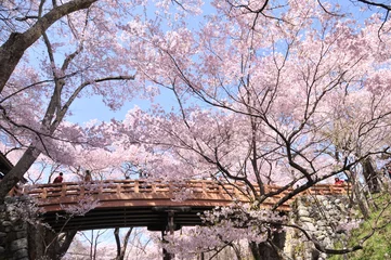Fleecedeken met foto Kersenbloesem 高遠城址公園・桜  © 修一 内山