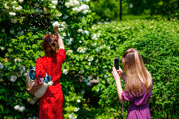 two girls on a background of white flowers taking a photo. 