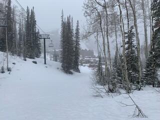 Winter wonderland landscape