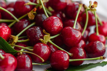 Fresh delicious red bright cherry berries torn in the summer garden