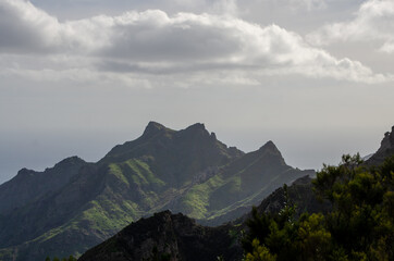 Obraz premium Views of the landscape of the Anaga Rural Park, in Santa Cruz de Tenerife. Canary Islands. Spain
