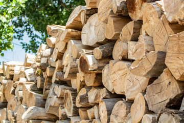 wooden bars consecrated by the sun, dawn, sky and tree