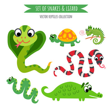Vector set of snake and lizard isolated on white.