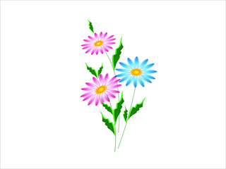 A small bouquet of three daisies - pink and blue with green leaves around. Vector illustration for design.