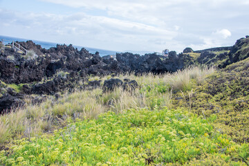 Walk on the Azores archipelago. Discovery of the island of Pico, Azores. Madalena