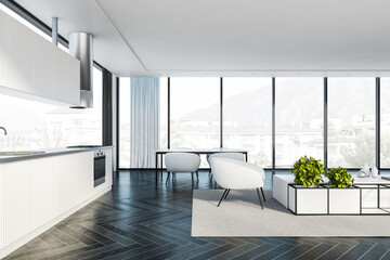White kitchen and living room, side view