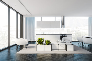 Panoramic white kitchen and living room interior