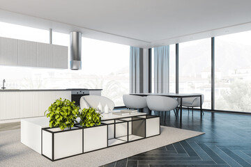 Panoramic white kitchen and living room corner