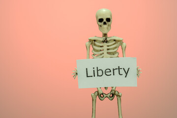 banner with the word liberty in the hands of a skeleton on a pink background