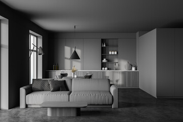 Grey kitchen and living room with sofa