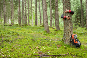 a man hugging a tree in the woods