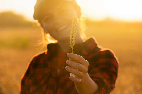 Ährenfeld Bilder Durchsuchen 90,885 Archivfotos, und