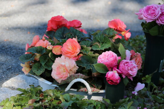 Einpflanzung mit Blumen und Blumenstrau&szlig; mit Rosen schm&uuml;cken ein Grab auf dem Friedhof 