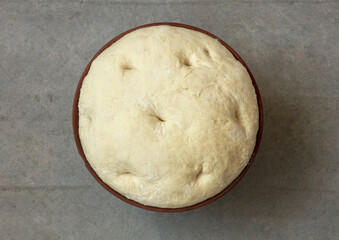 leavened dough in ceramic bowl