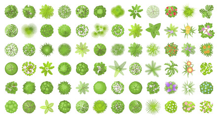 Vector set. Trees top view. Different plants and trees vector set for architectural or landscape design. (View from above) Nature green spaces. - 360820006