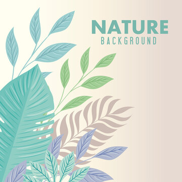nature background, branches with tropical nature leaves of pastel color vector illustration design