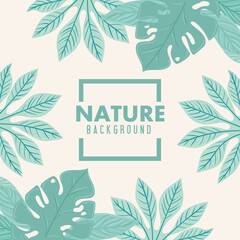 nature background, frame of tropical nature leaves of pastel color vector illustration design