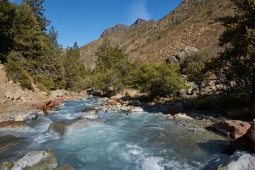 Ice cold river from the Paloma glacier running through autumn coloured vegetation in the Yerba Loca Mountain Park near Santiago in Chile