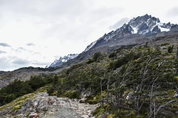 w trek in patagonia