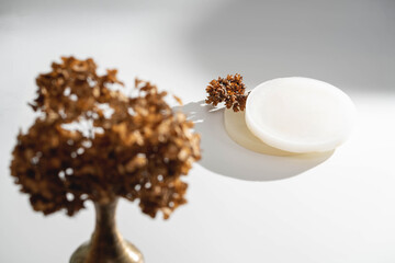 Minimalistic white background with geometric shapes and dried flowers. Copy space. Podium for branding cosmetic products.