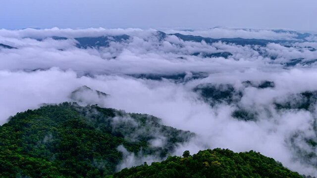 Time lapse video 4K, Morning mist over the mountain above Doi Pha sam Liam, Mae tang, Chiang mai, Thailand.